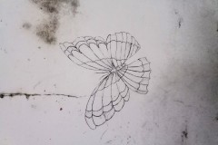 113