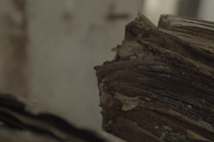 43
