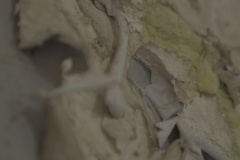 47