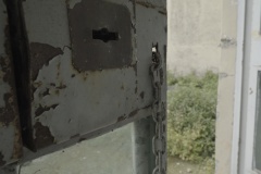51